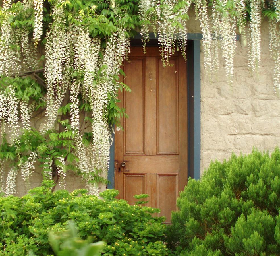 Bed and Breakfast Muddy Creek Cutting Lauder Exterior foto